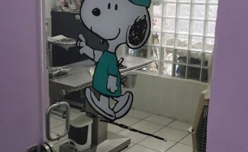 Clínica Veterinaria Pek Miztun