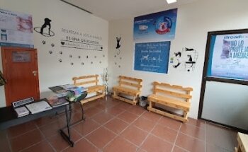 Veterinaria Mascotas San Cristóbal