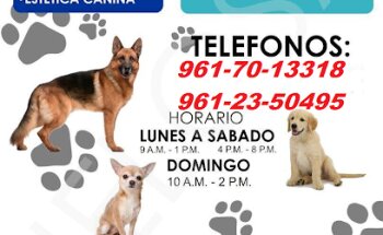 Cachorros Vip´s