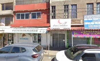 Servicios Veterinarios Teocallis