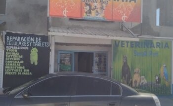 Veterinaria Small Pet