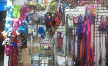 Grooming Pet's salon