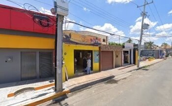 Estetica Veterinaria Ortega