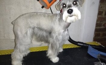 VETERINARIA y Spa GATY & PERRY