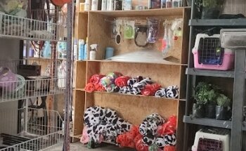 Veterinaria Los Musicos de Breemen