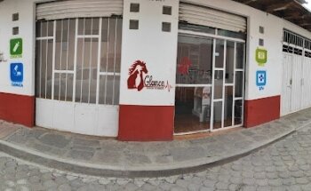 Glance servicios veterinarios