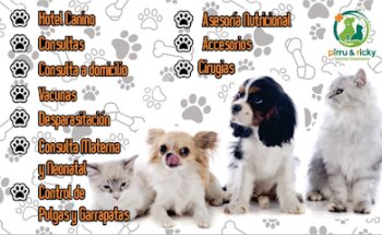 Pírru & Ricky: Servicios Veterinarios