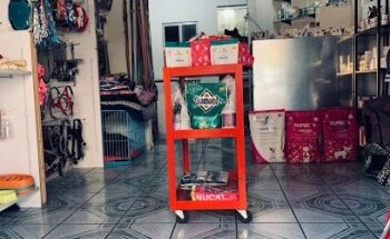 Clinica Veterinaria GoVet