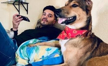 Veterinaria Garras y Patas