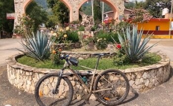 VETERINARIA OCONAHUA