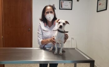 Clínica Veterinaria Cristal