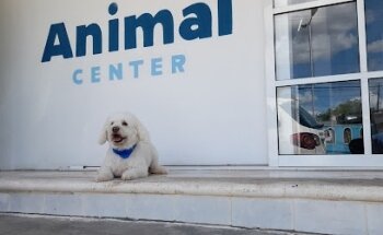 Animal Center