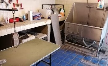 Clínica Veterinaria Doctehr