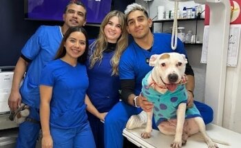 Veterinaria Petfüd & Clinic Jardines de la Hacienda