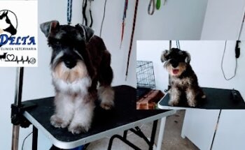 Farmacia Veterinaria DELTA