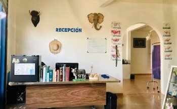 VETERINARIA LOS PINOS 2