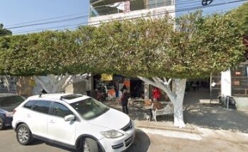 Muñoz Anaya Rogelio