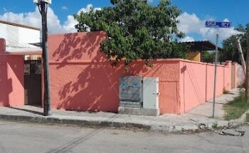 Pensión Canina Kibble