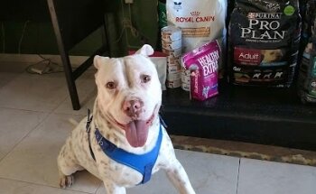 Veterinaria Rodriguez