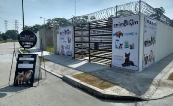 Animalium Clinica Veterinaria