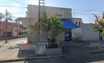 I Dog Centro Veterinario (idog)