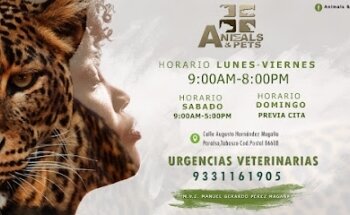 Clinica Veterinaria Animal & Pets