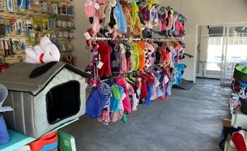 MASVET Clinic & Pet Shop