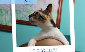 IRZAGA Centro Médico Veterinario