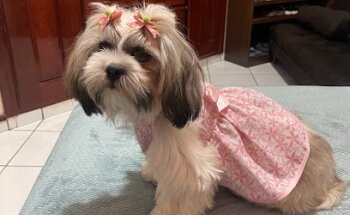 Veterinaria Dr. Vaca