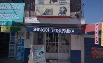 Servicios Veterinarios MVZ. Luis Antonio Cerón