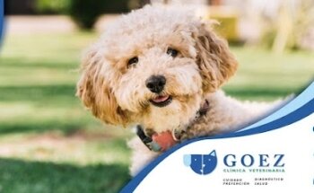 Veterinaria Goez