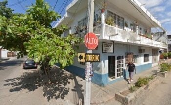 Veterinaria Estetica Canina