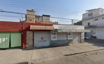 Lepetcity Insurgentes