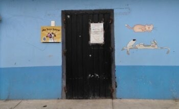 Clínica Veterinaria (Joquicingo)