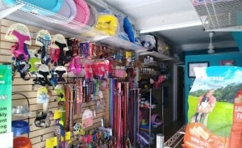 Clínica veterinaria pethome