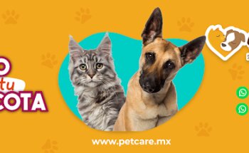PetCare