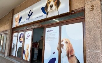 KARVET Centro Holístico Veterinario