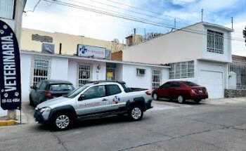 Pet's Medical Center