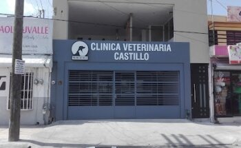Veterinaria Castillo