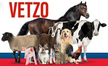 Veterinaria Tzocuilac