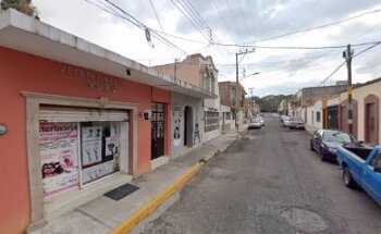 Xoxo Veterinary Clinic