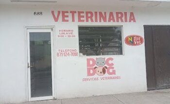 DOC DOG Servicios veterinarios