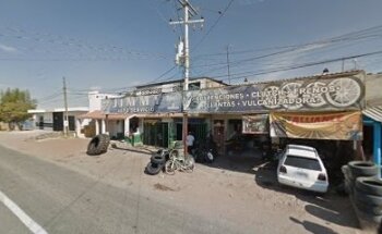 Servicio Veterinario