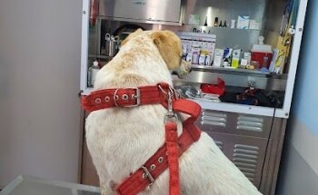 Clínica Veterinaria La Joya