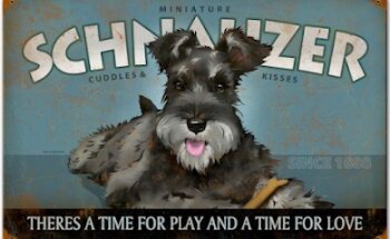 Paws Veterinary Clinic