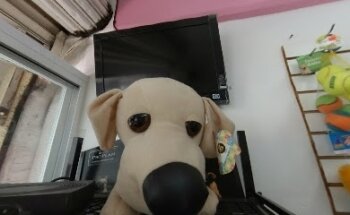 Consultorio Veterinario EduCan