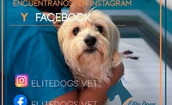 Elite Dog´s