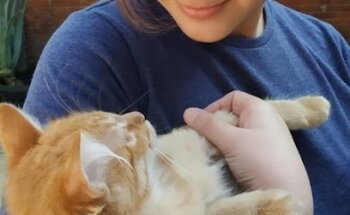 Alebrijes Pets Friend