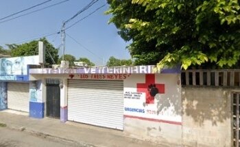 Veterinaria Los 3 Reyes