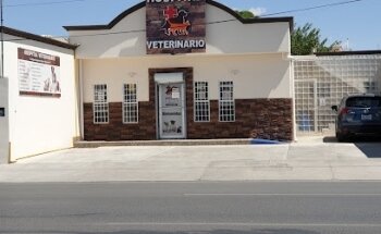 HOSPITAL VETERINARIO De Especialidades Medico Quirurgicas